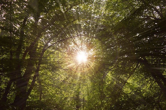 VENTAJAS DE ACCEDER AL REGISTRO